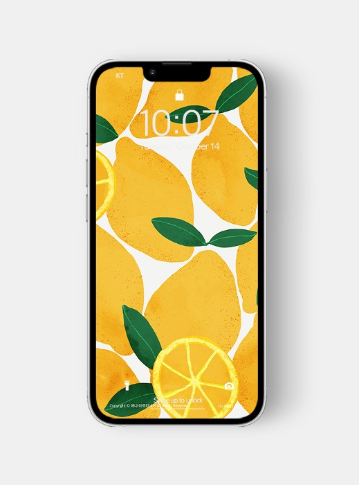 애나 마르티네즈 작가 Still Life of Lemons